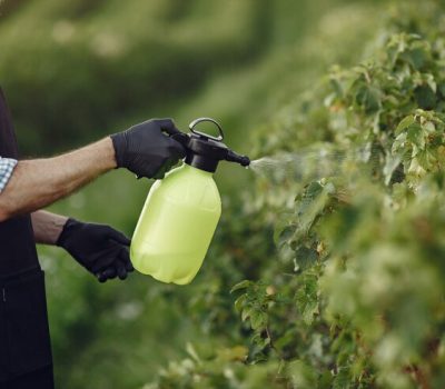 agricultor-rociar-verduras-jardin-herbicidas-hombre-delantal-negro_1157-39707